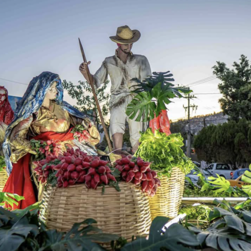 Oaxaca celebrará el gran Convite de Noche de Rábanos como parte del Festival Navideño 2024